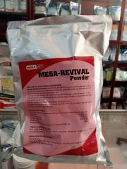 MG300 -MEGA-Revival powder 1kg