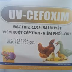 CEO242 - UV-CEFOXIM cặp 100ml