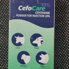 170 000C - MH-CEFO Cere 10%  100ml