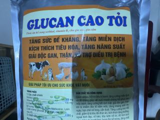 8936180966091 - ND-GLUCAN(cao tỏi) 1kg